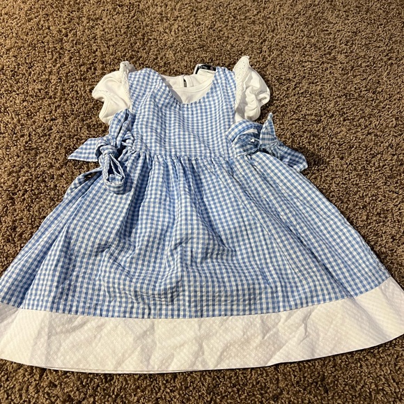 Rare Edition Girls Size 2T Blue & White Plaid Dress with White Shirt - Picture 1 of 8